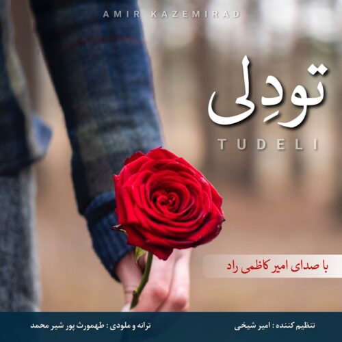 امیر کاظمی راد تو دلی